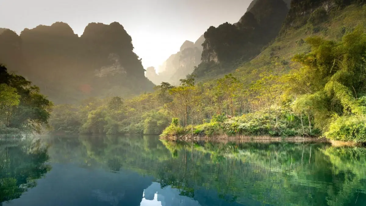 高标准科技